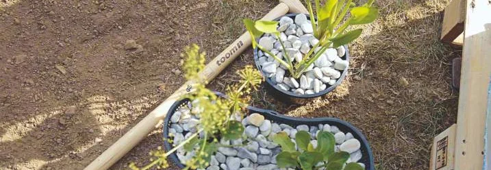 Zwei mit Steinen und Pflanzen gefüllte Teichschalen und ein Spaten